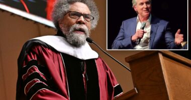 Cornel West unloads on Gavin Newsom over 'racist' remarks