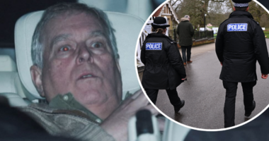 Could Andrew face charges? An expert says the process is difficult