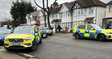 Counter terror cops probe stabbing at school that left boys hurt