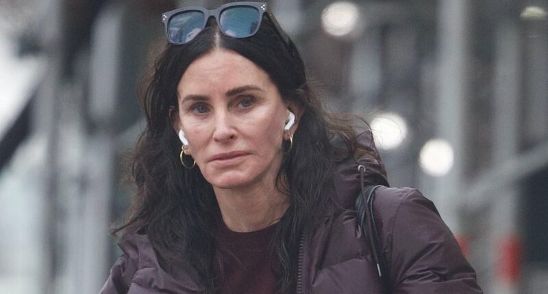 Courteney Cox and 'great friend' stay together ahead of NYC snowstorm