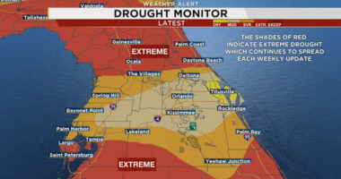 Critical fire conditions build throughout Central Florida amid growing drought