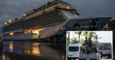 Cruise operators to skip Mexican ports over cartel violence