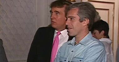 DOJ probing whether Epstein files about Trump were wrongly withheld