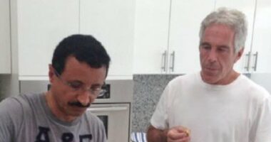 DP World boss who donated to William's Earthshot sacked over Epstein