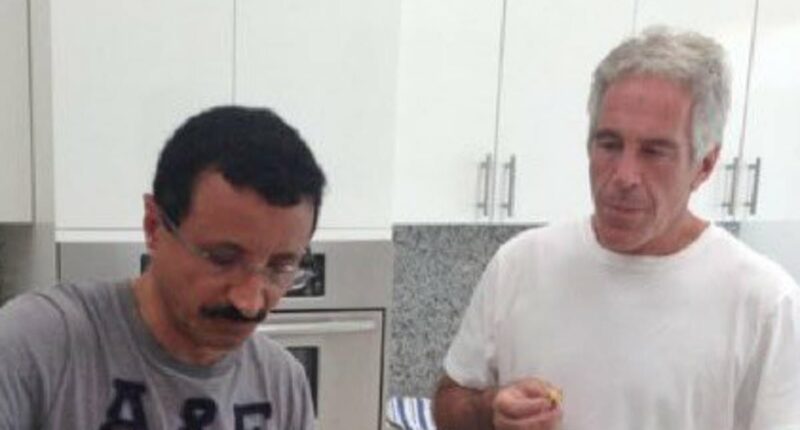 DP World boss who donated to William's Earthshot sacked over Epstein