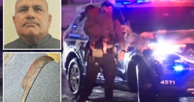 Dad stabs wife, daughter to death with massive curved dagger: cops