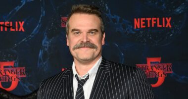 David Harbour skips Stranger Things costar Maya Hawke's wedding