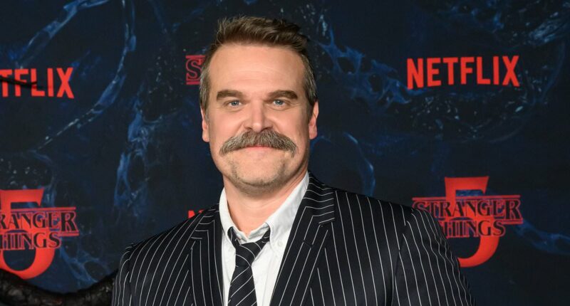 David Harbour skips Stranger Things costar Maya Hawke's wedding