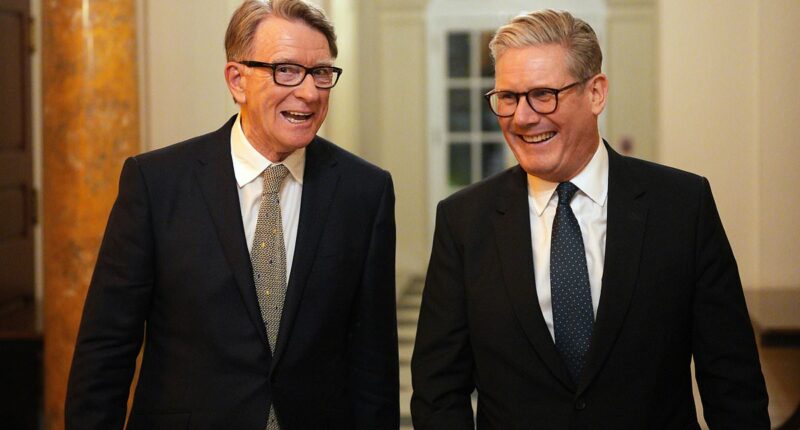 David Lammy 'warned Keir Starmer not to appoint' Lord Mandelson