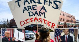 Democrats giddy over Trump Supreme Court tariff ruling -- plan to use it against Republicans in midterm elections