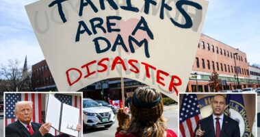 Democrats giddy over Trump Supreme Court tariff ruling -- plan to use it against Republicans in midterm elections