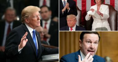 Democrats plot boycott of Trump's State of the Union address with alternative rally