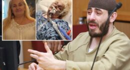 'Devil' son who pushed mom out of NYC high-rise claims it's her fault in sentencing sob story