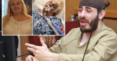 'Devil' son who pushed mom out of NYC high-rise claims it's her fault in sentencing sob story