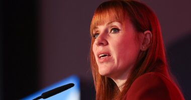 Dinner, chicken and chips with MPs - how Rayner is plotting her coup