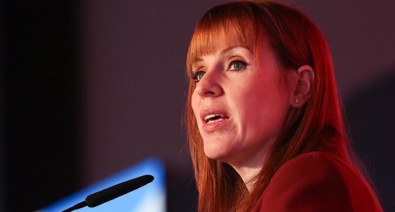 Dinner, chicken and chips with MPs - how Rayner is plotting her coup