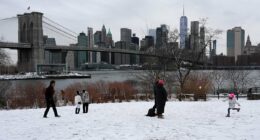 Dire warning for East Coast as blizzard brings airports to their knees