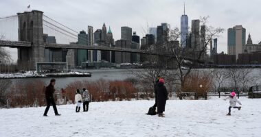 Dire warning for East Coast as blizzard brings airports to their knees