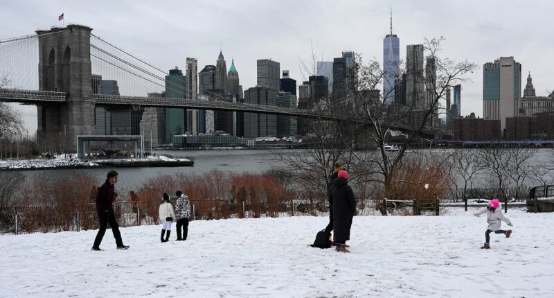 Dire warning for East Coast as blizzard brings airports to their knees