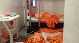 Doctor at Jeffrey Epstein's post mortem says paedophile was strangled