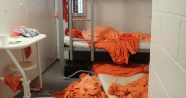 Doctor at Jeffrey Epstein's post mortem says paedophile was strangled