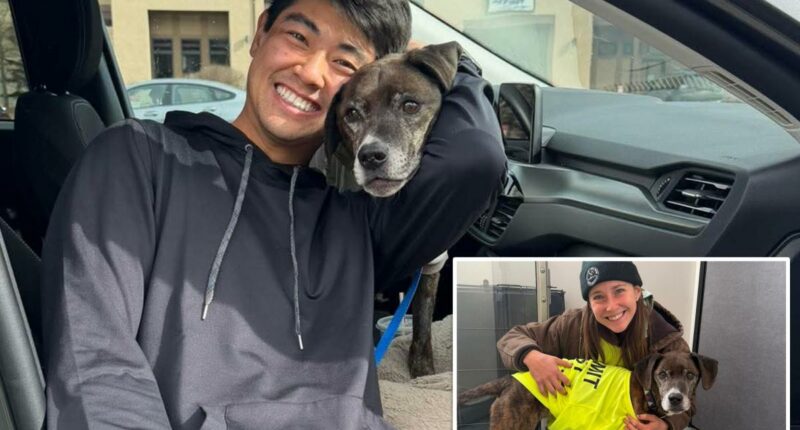 Dog that bolted into Colorado mountains reunited with owner after 43 days in wilderness