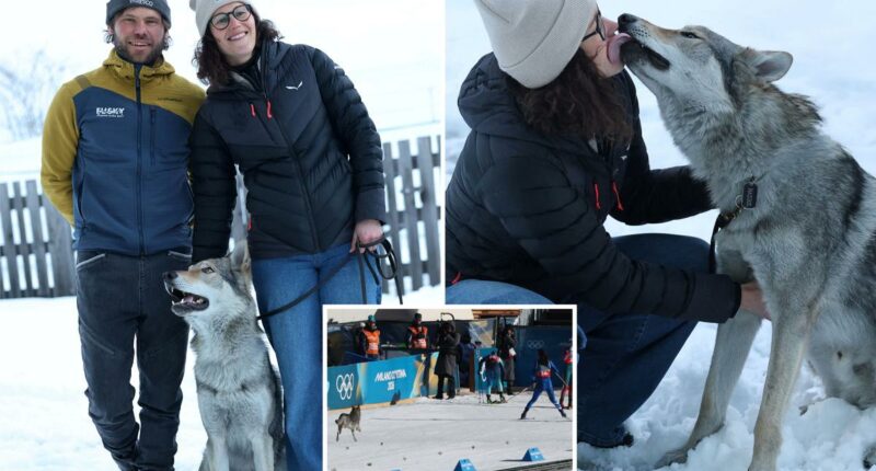 Dogs owners stunned to see their pet on TV -- at the Olympics