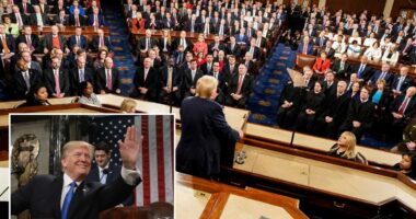 Dozens of Dems plan to skip President Trump's State of the Union as party splits on how to protest