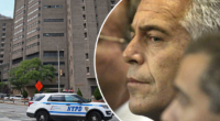 Draft announcement of Epstein's death dated the day before