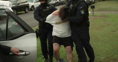 Dramatic arrest video emerges after death of kidnapped grandfather, 85