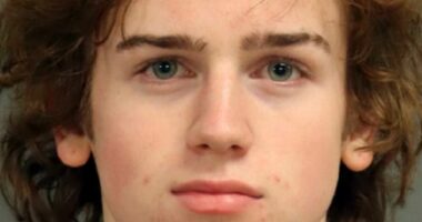 Drunk schoolboy ran over and killed boy, 14, while speeding, cops say