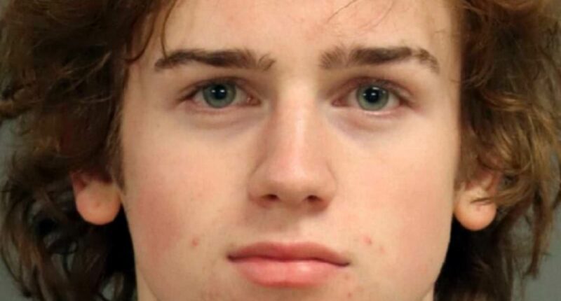 Drunk schoolboy ran over and killed boy, 14, while speeding, cops say