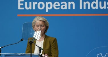 EU leaders meet to counter pressure from Russia, China and Trump