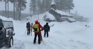 Eight skiers dead and one still unaccounted for after avalanche