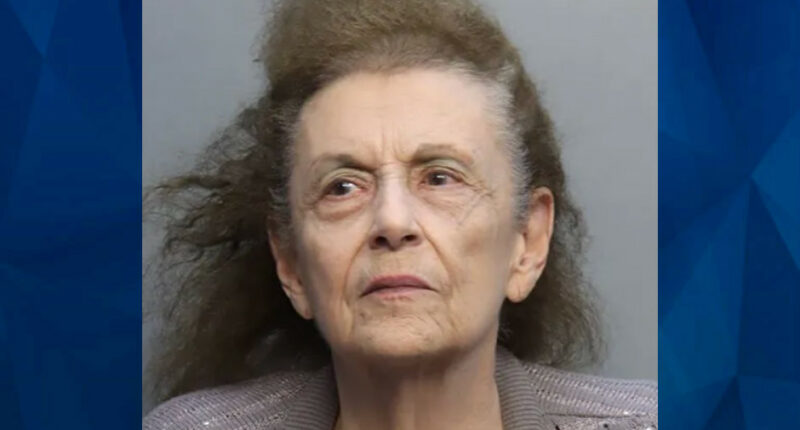 Elderly Florida Woman Hits 7-Year-Old on Scooter and Flees, Blames Him for Crash