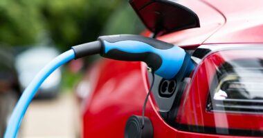 Electric cars deliver 'no proven carbon savings' in UK, scientists say