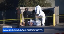 Elk Grove Village murder: Arturo Taylor charged in stabbing death of Colleen Bagley, found outside of hotel at Landmeier, Higgins