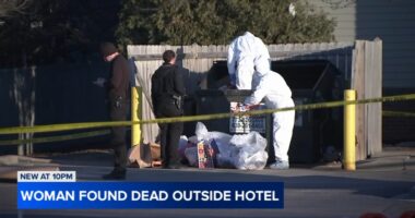 Elk Grove Village murder: Arturo Taylor charged in stabbing death of Colleen Bagley, found outside of hotel at Landmeier, Higgins