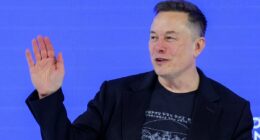 Elon Musk snubs Nigel Farage as Tesla boss endorses former Reform UK MP's new political party Restore Britain