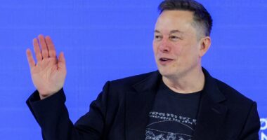 Elon Musk snubs Nigel Farage as Tesla boss endorses former Reform UK MP's new political party Restore Britain