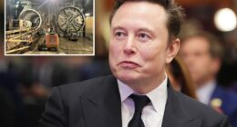 Elon Musk takes aim at insane LA subway costs, says he can dig tunnels for a bargain