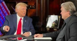 Elon Musk unleashes posts against Steve Bannon's Epstein ties