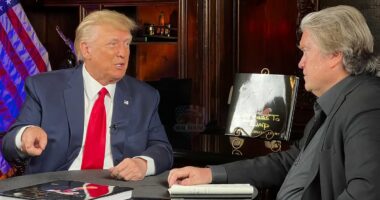 Elon Musk unleashes posts against Steve Bannon's Epstein ties