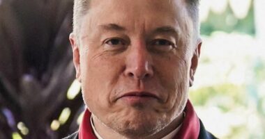 Elon Musk's Jesus comment sparks theories 'something big is coming'