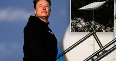 Elon Musk's Starlink crackdown cripples attacks on Ukraine as Russian casualty rates soar