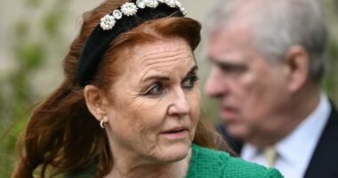 Epstein and Mandelson discussed whether Fergie should 'admit her medication abuse' after cash-for-access sting, emails suggest