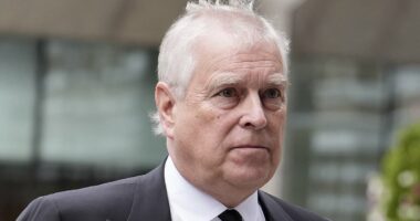 Epstein files latest: Andrew told disgraced paedophile he wanted to be his 'pet' in damning email