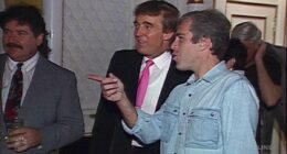 Epstein 'helped Russia get kompromat on western elites for DECADES'