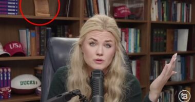 Erika Kirk conspiracy debunked after Candace Owens photo claim