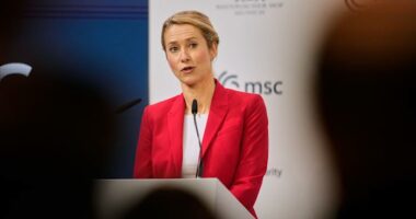 Europeans push back at US over claim they face 'civilizational erasure'